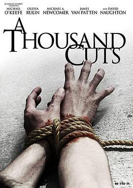 千刀万剐 A Thousand Cuts (2011) - 毒蛇电影