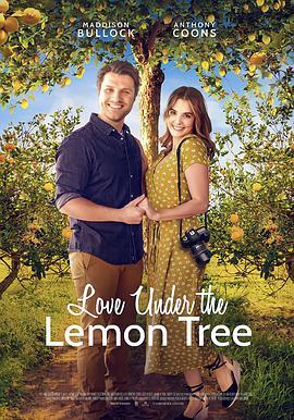 Love Under the Lemon Tree  (2022) - 毒蛇电影