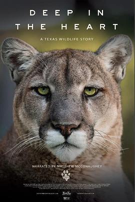 深入核心：德克萨斯野生动物的故事 Deep in the Heart: A Texas Wildlife Story (2022) - 毒蛇电影