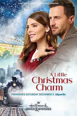 丢失的圣诞手镯 A Little Christmas Charm (2020) - 毒蛇电影