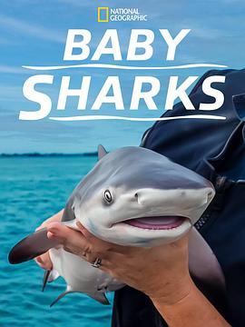 鲨鱼宝宝成长记 Baby Sharks (2022) - 毒蛇电影