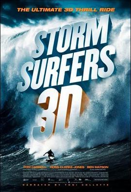 风暴冲浪者 Storm Surfers 3D (2012) - 毒蛇电影