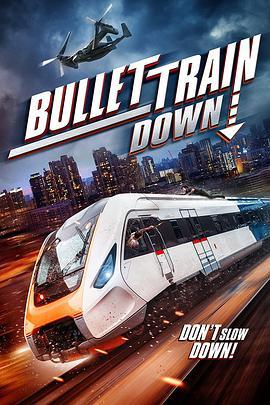 列车大爆破 Bullet Train Down (2022) - 毒蛇电影