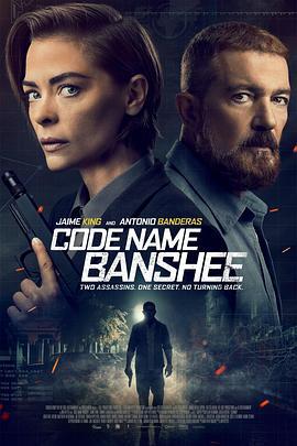 报丧女妖 Code Name Banshee (2022) - 毒蛇电影