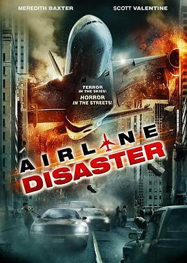 空难 Airline Disaster (2010) - 毒蛇电影