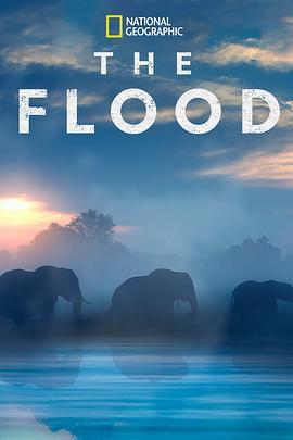 The Flood  (2018) - 毒蛇电影