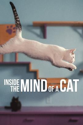 喵星人的奇思妙想 Inside the Mind of a Cat (2022) - 毒蛇电影