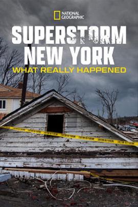 Superstorm New York: What Really Happened  (2012) - 毒蛇电影