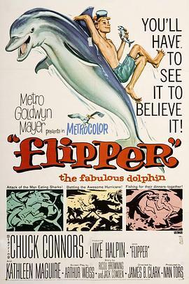 海豚飞宝 Flipper (1963) - 毒蛇电影