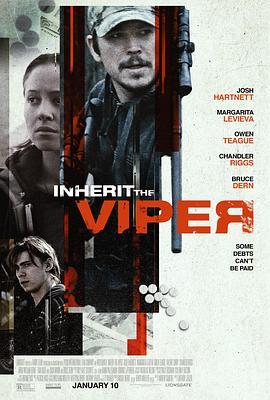 继任蝰蛇 Inherit the Viper (2019) - 毒蛇电影