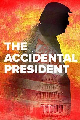 The Accidental President  (2020) - 毒蛇电影