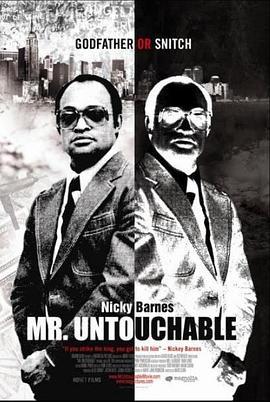 毒枭传奇 Mr. Untouchable (2007) - 毒蛇电影