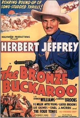 古铜色的牛仔 The Bronze Buckaroo (1939) - 毒蛇电影