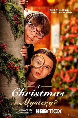 谁偷了圣诞铃 A Christmas Mystery (2022) - 毒蛇电影