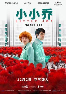 小小乔 Little Joe (2019) - 毒蛇电影