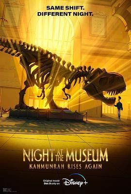 博物馆惊魂夜：卡门拉回归 Night At The Museum：Kahumunrah Rises Again (2022) - 毒蛇电影