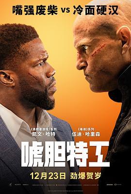 唬胆特工 The Man from Toronto (2022) - 毒蛇电影