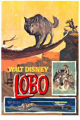 狼的传说 The Legend of Lobo (1962) - 毒蛇电影