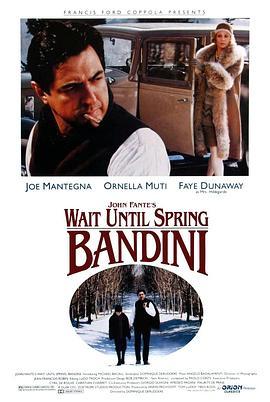 等到春天，班迪尼 Wait Until Spring, Bandini (1989) - 毒蛇电影