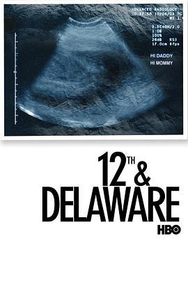 第12和特拉华 12th & Delaware (2010) - 毒蛇电影