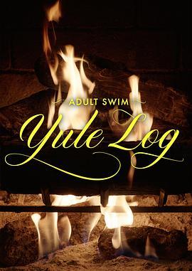 圣诞原木 Adult Swim Yule Log (2022) - 毒蛇电影