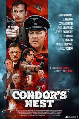 秃鹰的巢穴 Condor's Nest (2023) - 毒蛇电影