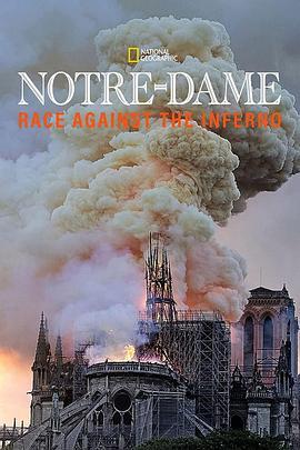 圣母院：与烈焰竞赛 Notre Dame: Race Against The Inferno (2019) - 毒蛇电影