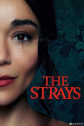 流浪者 The Strays (2023) - 毒蛇电影