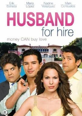 租赁情缘 Husband for Hire (2008) - 毒蛇电影