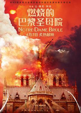 燃烧的巴黎圣母院 Notre-Dame brûle (2022) - 毒蛇电影