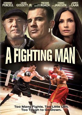 一个人的战斗 A Fighting Man (2014) - 毒蛇电影