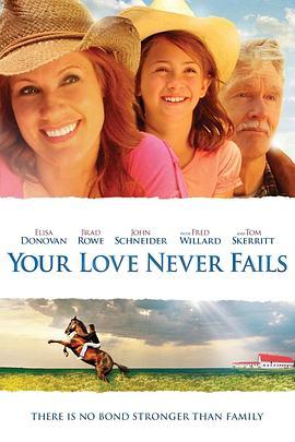 你的爱永不停止 Your Love Never Fails (2011) - 毒蛇电影