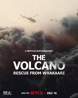 火山：法卡里营救 The Volcano: Rescue from Whakaari (2022) - 毒蛇电影