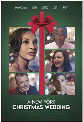 纽约圣诞婚礼 A New York Christmas Wedding (2020) - 毒蛇电影