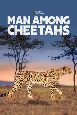 Man Among Cheetahs  (2017) - 毒蛇电影