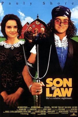 宝贝新官人 Son in Law (1993) - 毒蛇电影