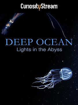 深海：深渊之光 Deep Ocean: Lights in the Abyss (2016) - 毒蛇电影