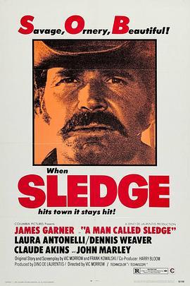 金关龙虎斗 A Man Called Sledge (1970) - 毒蛇电影