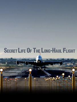 长途航班的秘密生活 Secret Life of the Long-haul Flight (2017) - 毒蛇电影