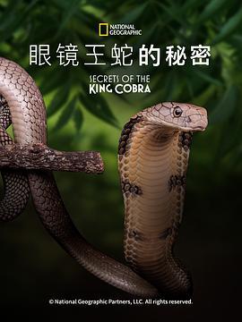 眼镜蛇的秘密 Secrets of the King Cobra (2010) - 毒蛇电影