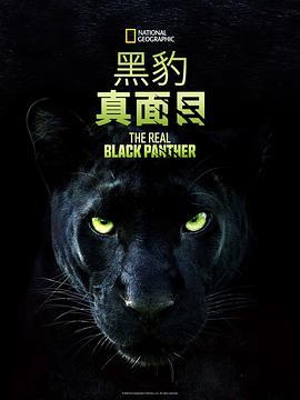 真黑豹无双 The Real Black Panther (2020) - 毒蛇电影