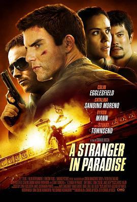 天堂陌客 A Stranger in Paradise (2012) - 毒蛇电影