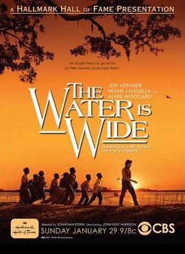 大河宽宽 The Water is Wide (2006) - 毒蛇电影