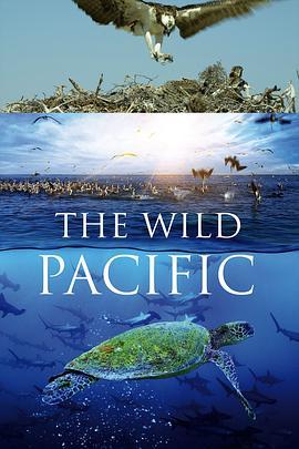 狂野太平洋 The Wild Pacific (2016) - 毒蛇电影