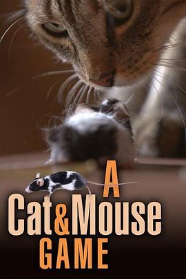 猫鼠游戏 A Cat and Mouse Game (2019) - 毒蛇电影