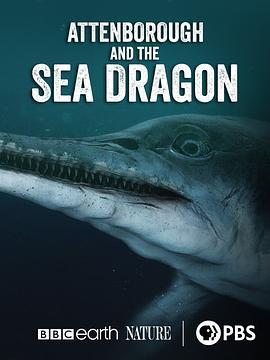 爱登堡和海龙 Attenborough and the Sea Dragon (2018) - 毒蛇电影