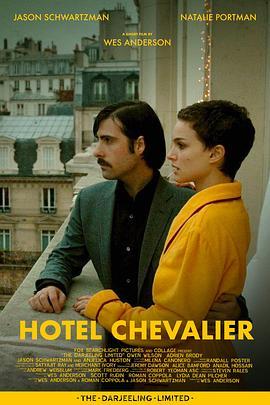 骑士酒店 Hotel Chevalier (2007) - 毒蛇电影