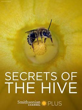 蜂巢的秘密 Secrets of the Hive (2015) - 毒蛇电影