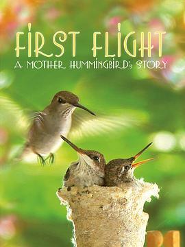 First Flight: A Mother Hummingbird's Story  (2009) - 毒蛇电影