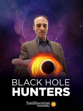 黑洞探寻者 Black Hole Hunters (2019) - 毒蛇电影